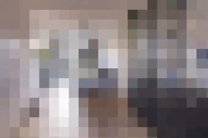 Propusstraat 3 Zuidhorn thumbnail 11