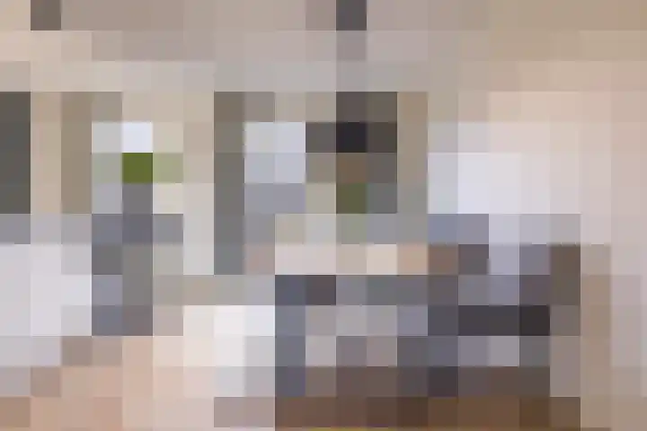 Propusstraat 3 Zuidhorn thumbnail 12