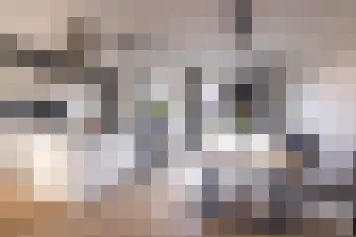 Propusstraat 3 Zuidhorn thumbnail 13