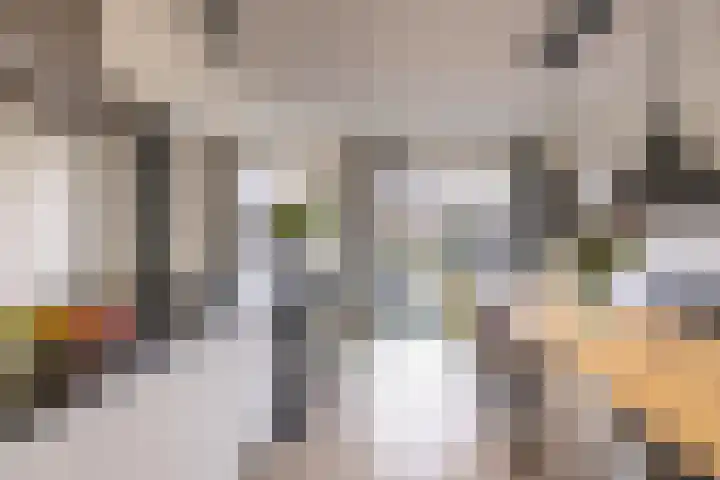 Propusstraat 3 Zuidhorn thumbnail 15