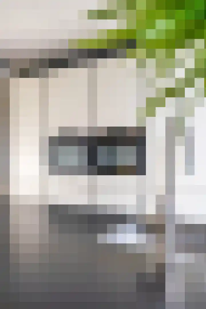 Propusstraat 3 Zuidhorn thumbnail 17