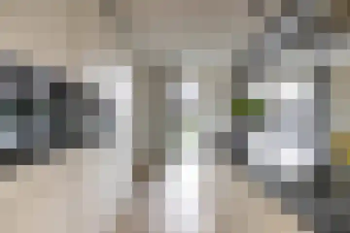 Propusstraat 3 Zuidhorn thumbnail 18