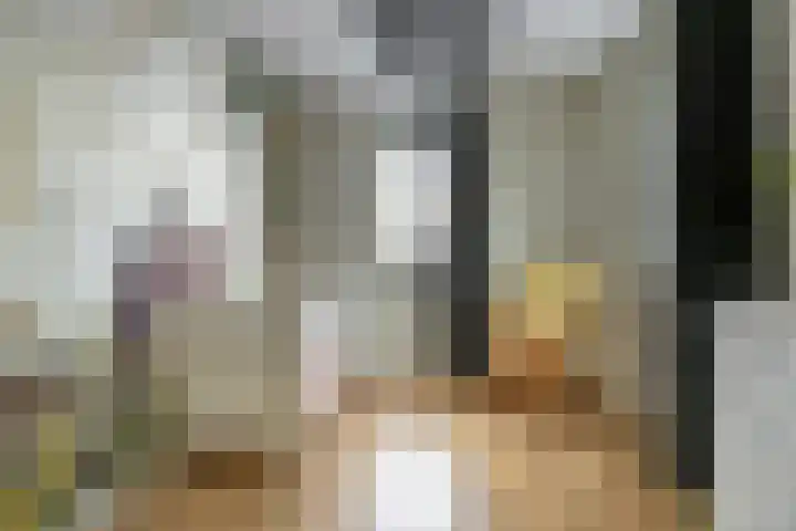 Propusstraat 3 Zuidhorn thumbnail 23