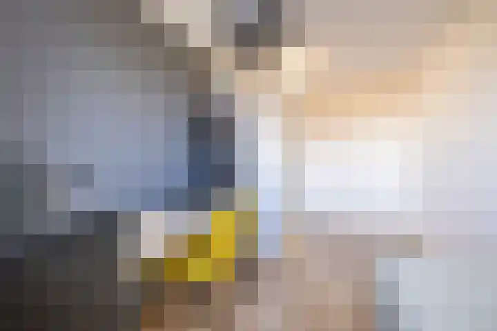Propusstraat 3 Zuidhorn thumbnail 27