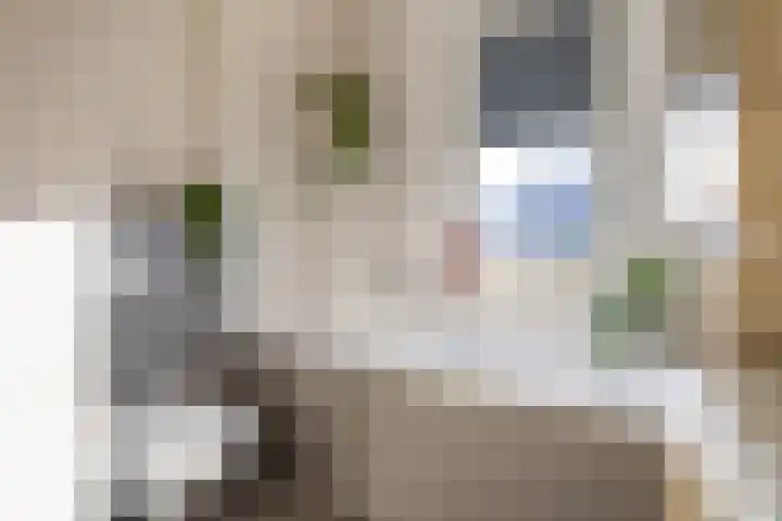 Propusstraat 3 Zuidhorn thumbnail 30