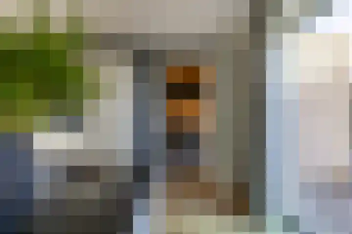 Propusstraat 3 Zuidhorn thumbnail 35