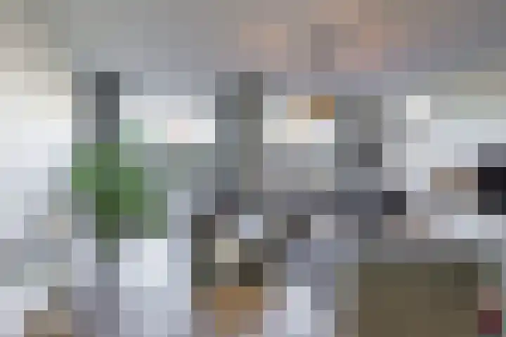 Propusstraat 3 Zuidhorn thumbnail 6