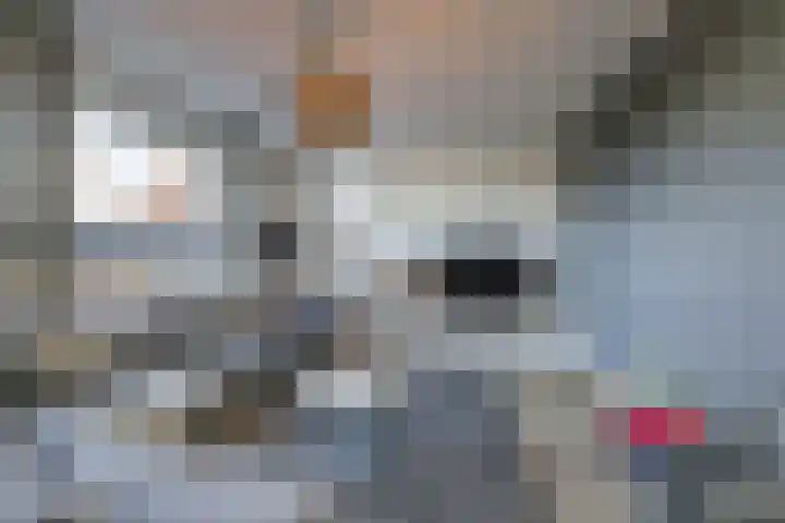 Propusstraat 3 Zuidhorn thumbnail 7