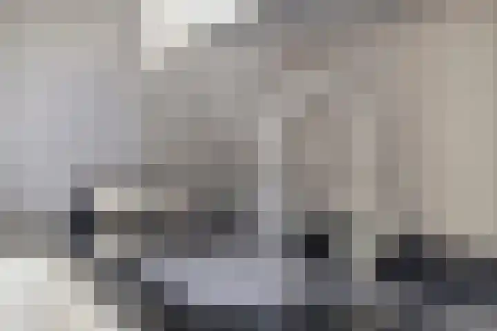 Prossinkhof 22 Oldenzaal thumbnail 12