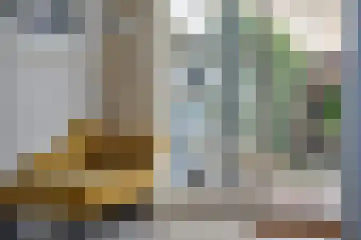 Prossinkhof 22 Oldenzaal thumbnail 13