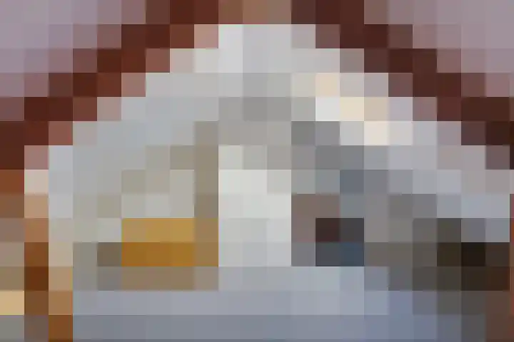 Prossinkhof 22 Oldenzaal thumbnail 20