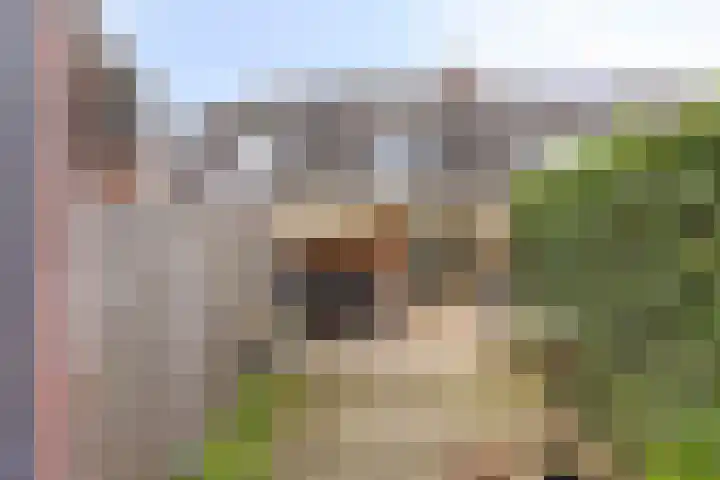 Prossinkhof 22 Oldenzaal thumbnail 24