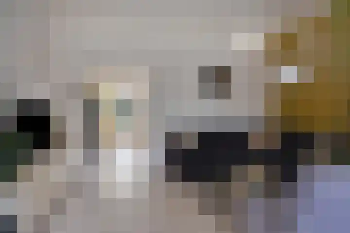 Prossinkhof 22 Oldenzaal thumbnail 7