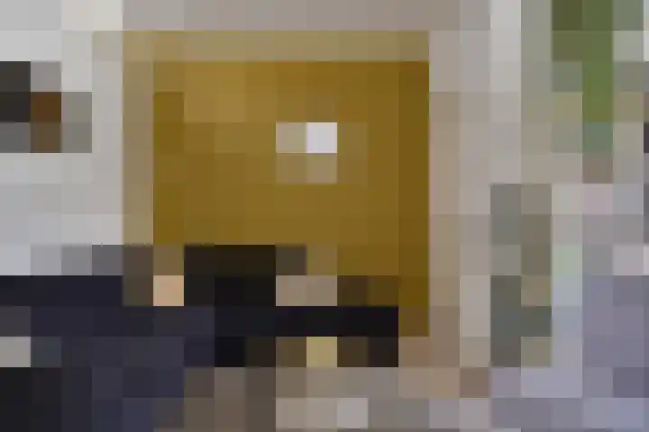 Prossinkhof 22 Oldenzaal thumbnail 8