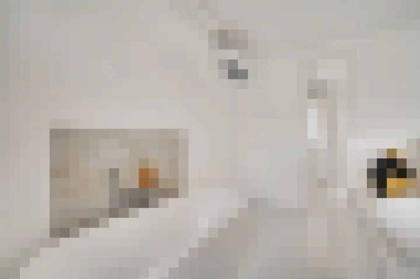 Provence 1 Klimmen thumbnail 14