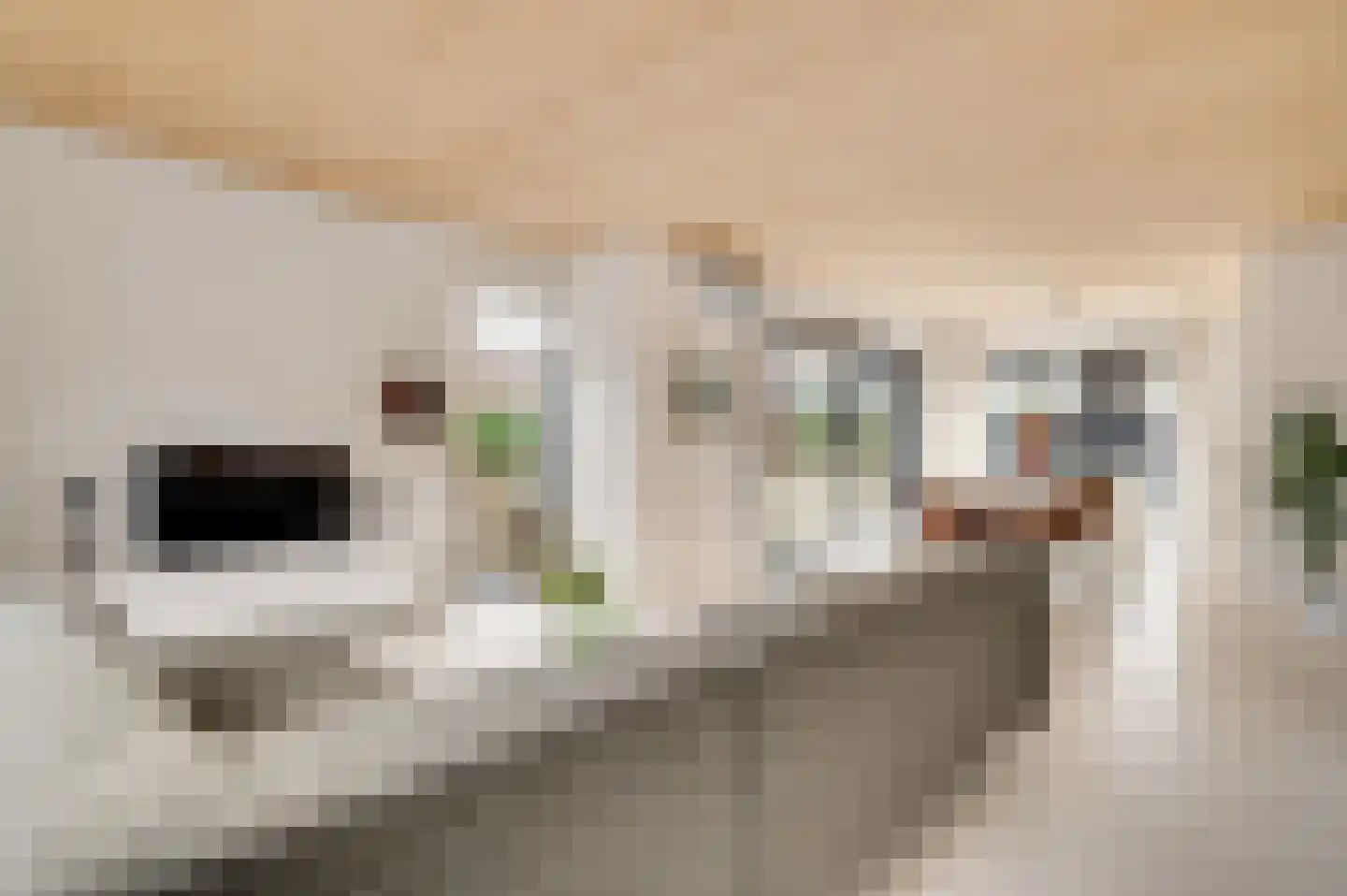 Provence 1 Klimmen foto 3