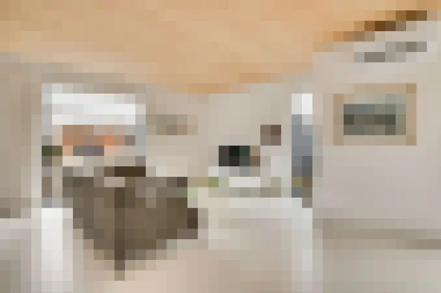 Provence 1 Klimmen thumbnail 6