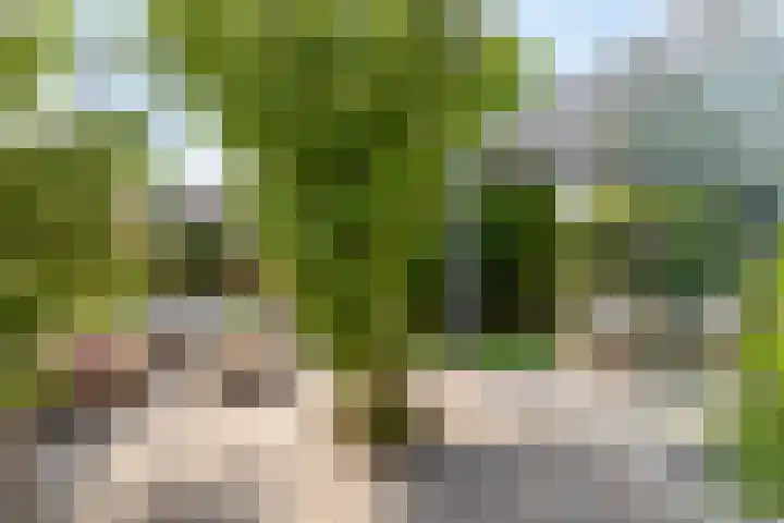 Provence 12 Purmerend thumbnail 32