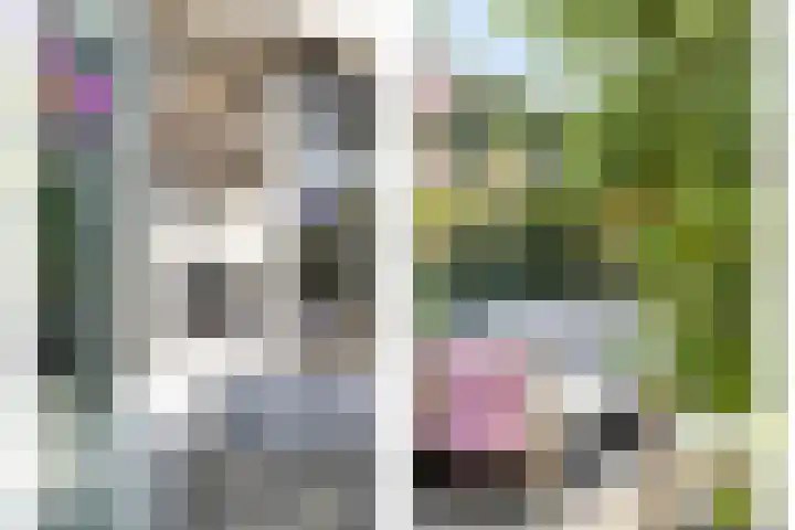 Provence 12 Purmerend thumbnail 33
