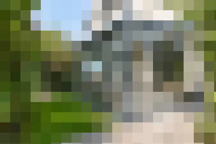 Provence 12 Purmerend thumbnail 34