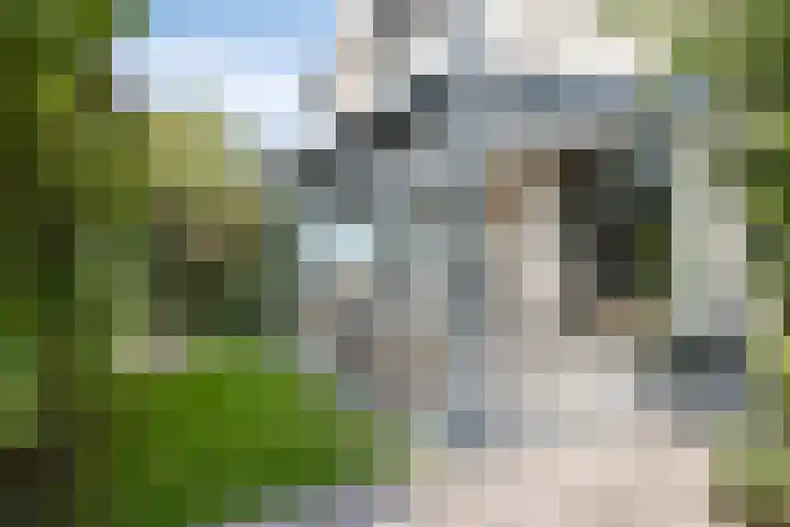Provence 12 Purmerend thumbnail 35