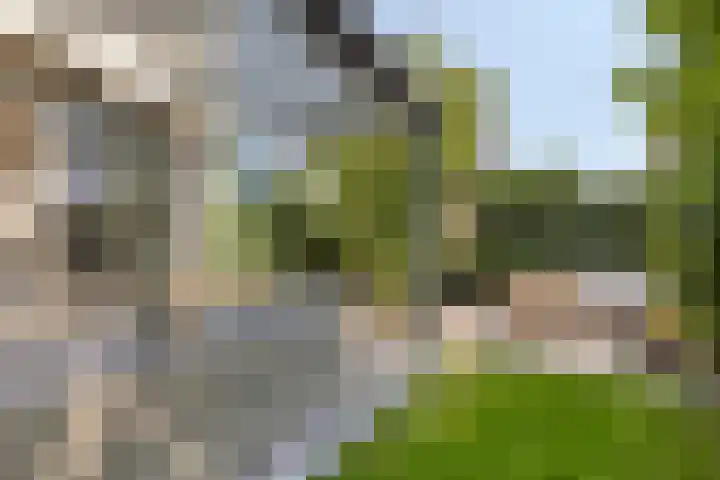 Provence 12 Purmerend thumbnail 36