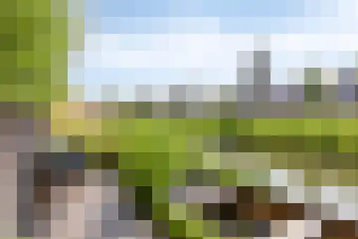 Provence 12 Purmerend thumbnail 40