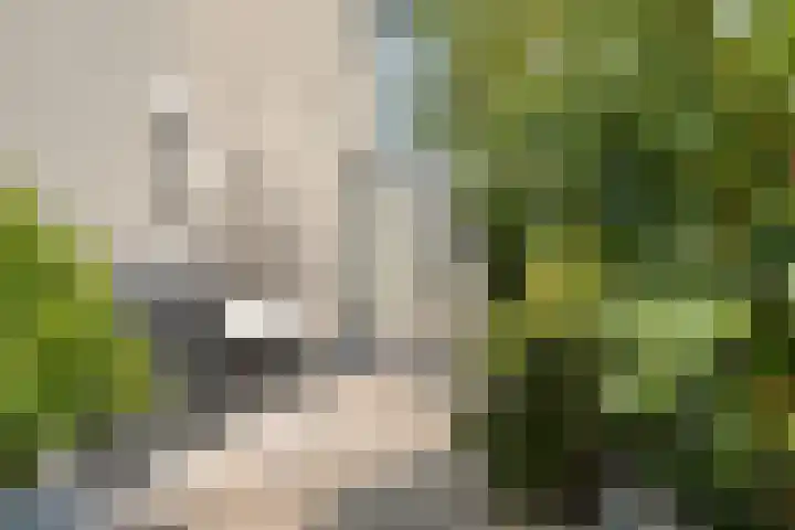 Provence 12 Purmerend thumbnail 41