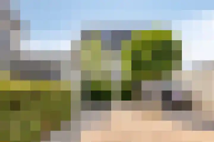 Provence 12 Purmerend thumbnail 45