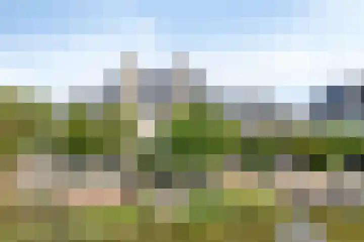 Provence 12 Purmerend thumbnail 48