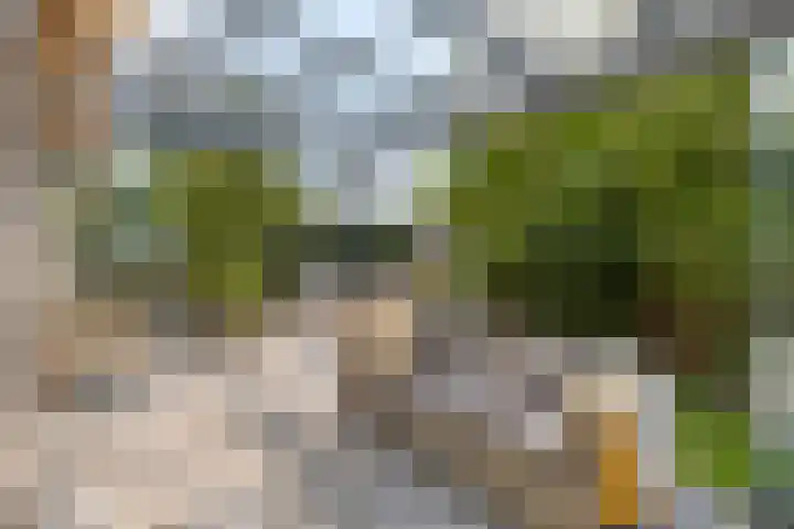 Provence 12 Purmerend thumbnail 7