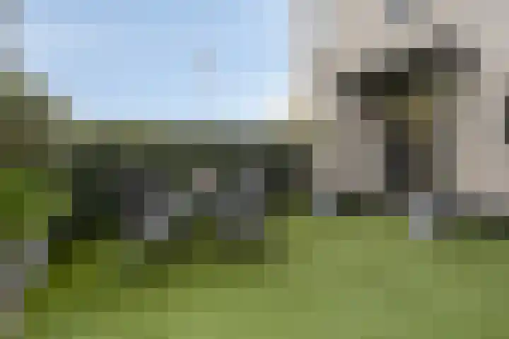 Provence 19 Purmerend thumbnail 33