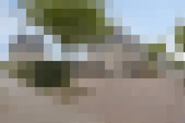 Provence 19 Purmerend thumbnail 36