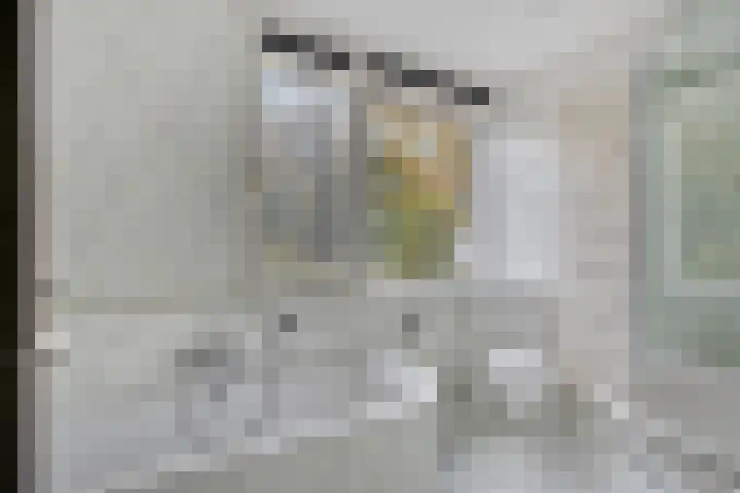 Provencehof 15 Eindhoven thumbnail 33