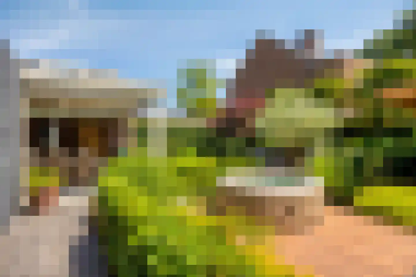 Provencehof 15 Eindhoven thumbnail 44