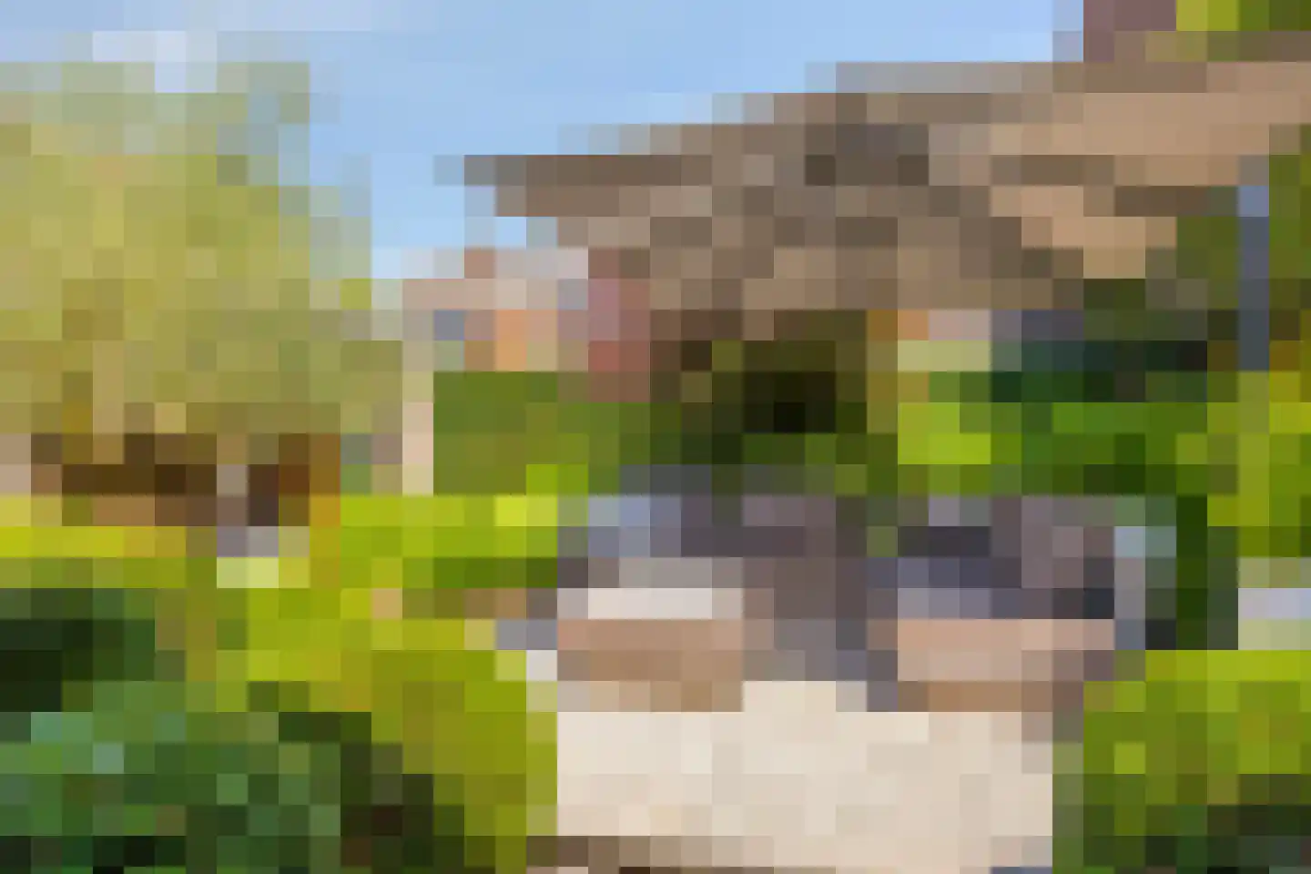Provencehof 15 Eindhoven thumbnail 46