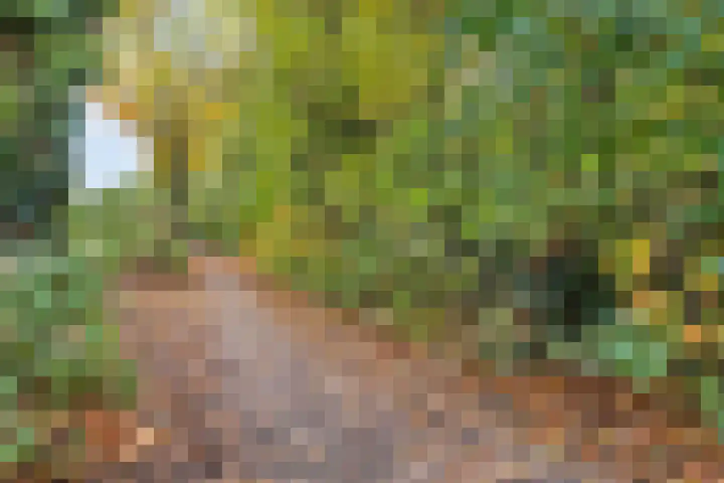 Provencehof 15 Eindhoven thumbnail 53