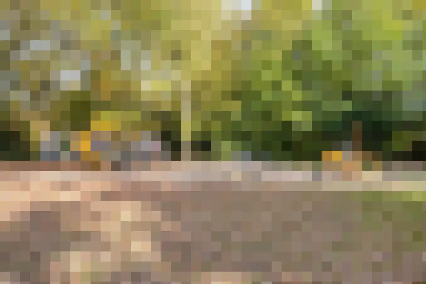Provencehof 15 Eindhoven thumbnail 54