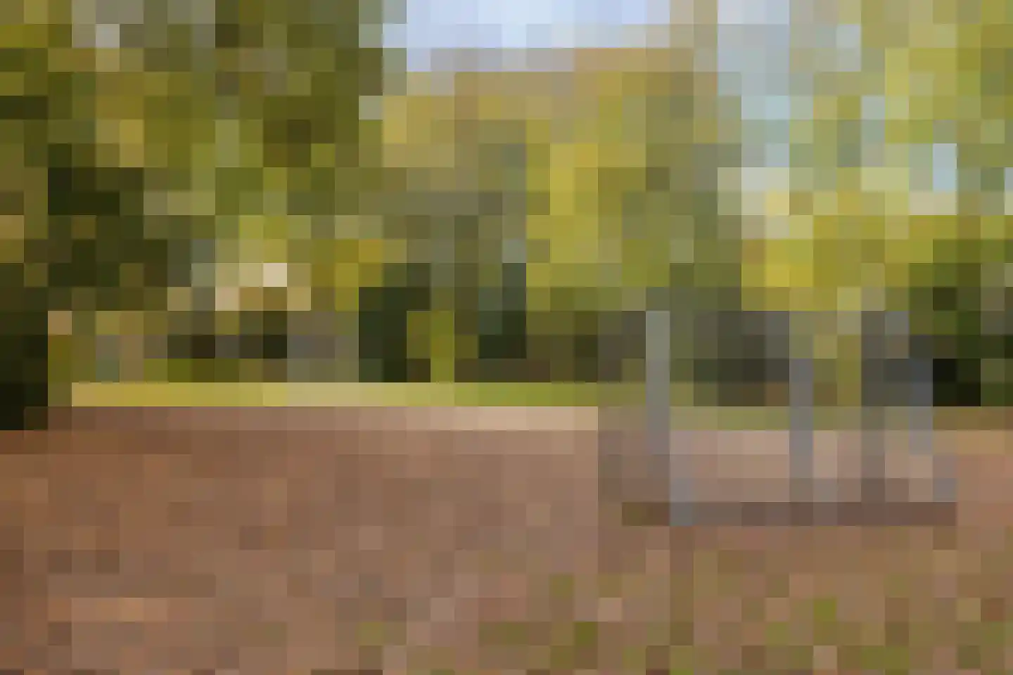 Provencehof 15 Eindhoven thumbnail 55