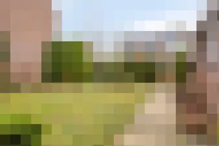 Provencehof 16 Eindhoven thumbnail 10