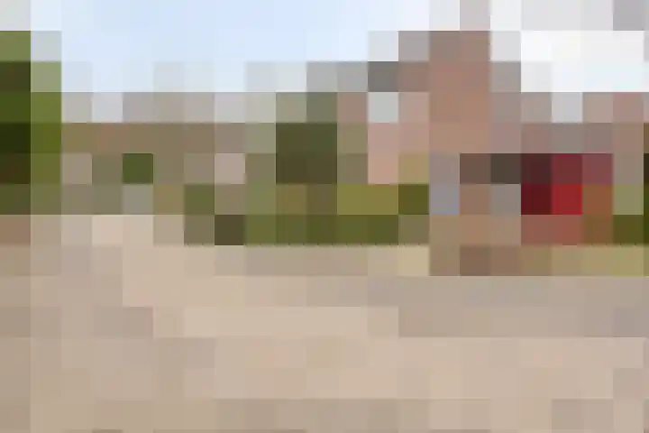 Provencehof 16 Eindhoven thumbnail 11