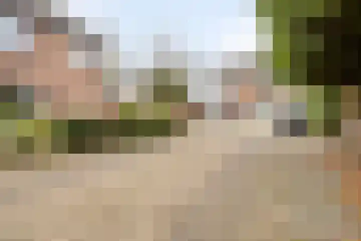 Provencehof 16 Eindhoven thumbnail 13