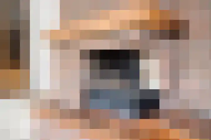 Provencehof 16 Eindhoven thumbnail 24