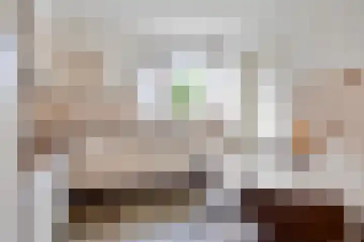 Provencehof 16 Eindhoven thumbnail 25
