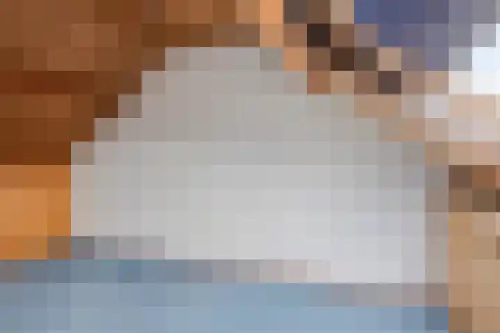 Provencehof 16 Eindhoven thumbnail 41