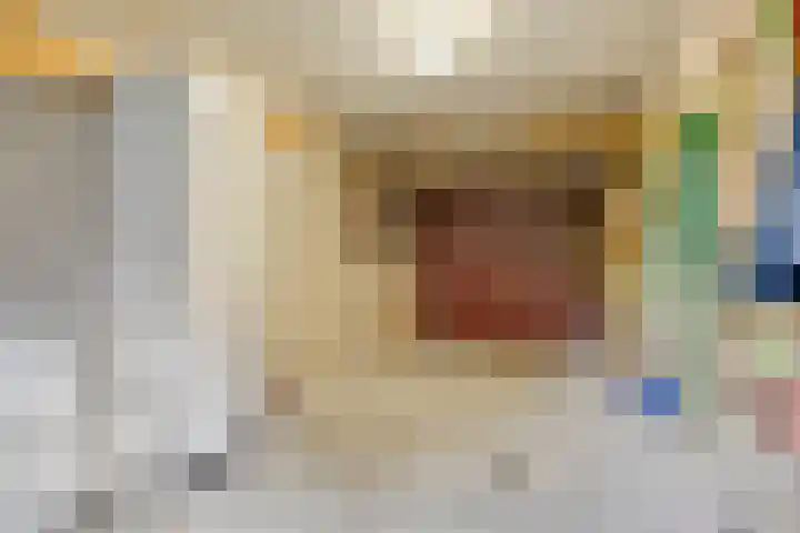 Provencehof 16 Eindhoven thumbnail 42