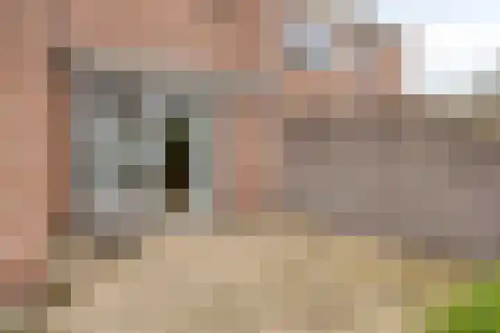 Provencehof 16 Eindhoven thumbnail 45