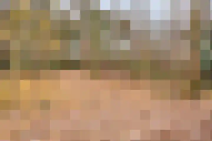 Provencehof 16 Eindhoven thumbnail 47