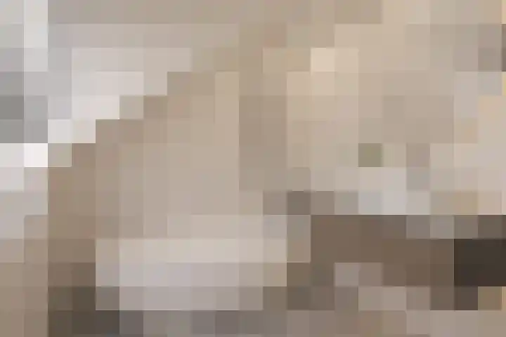 Provencehof 16 Eindhoven thumbnail 7