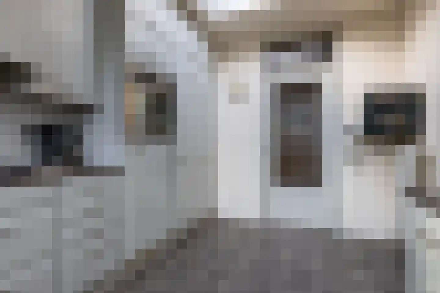 Proveniersblok 4 Bergen op Zoom thumbnail 17